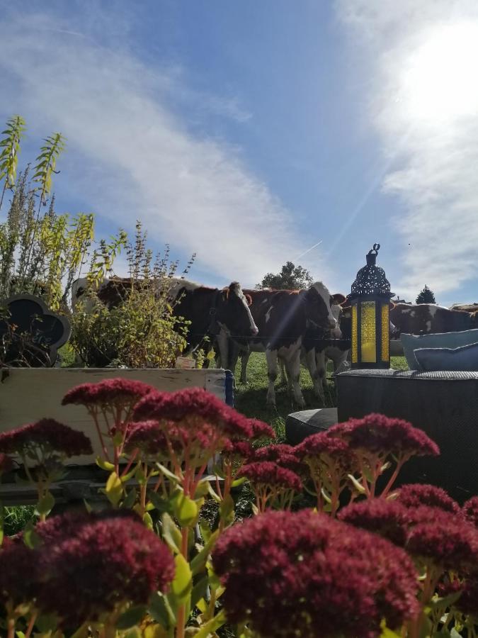 Petite Maison Sur La Colline Du Gibloux: 1Chambre,1 Salon Et Salle De Bain Prives Au Rez De Chausse, Piscine Exterieur Et Bbq , Le Châtelard-Montreux Exterior foto